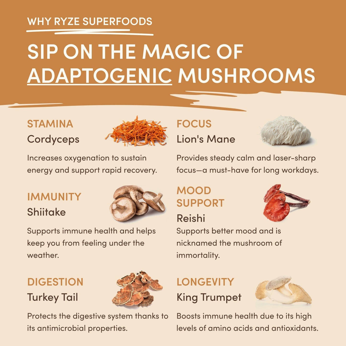 Mushroom Overnight Oats 14 Servings
